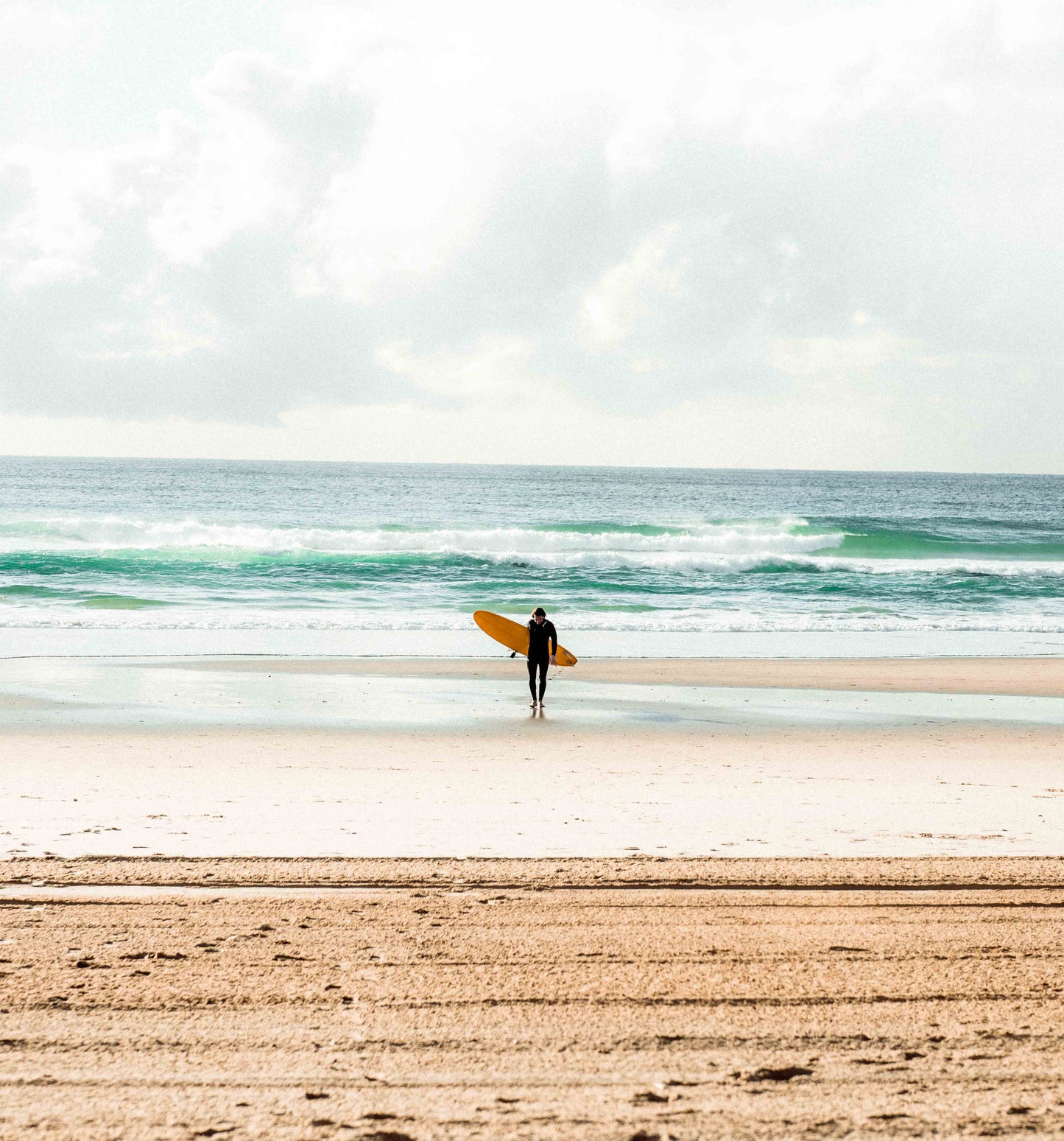 Funster Blueberry - Mini Mal Surfboards