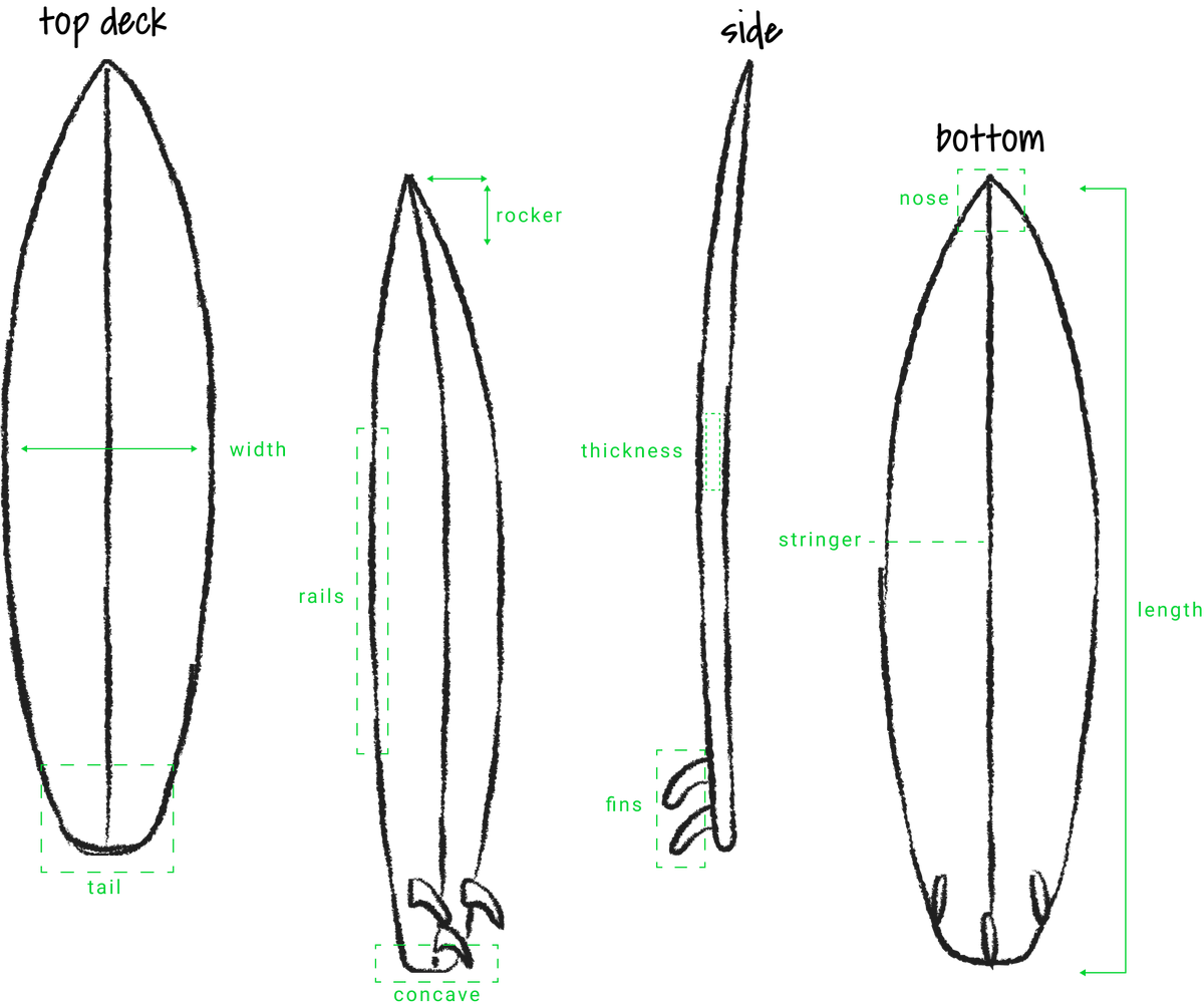 board anatomy