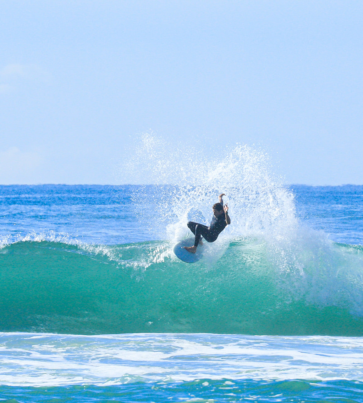 Favourite Dish Vintage Fish By Beau Young - Mint Surfboards