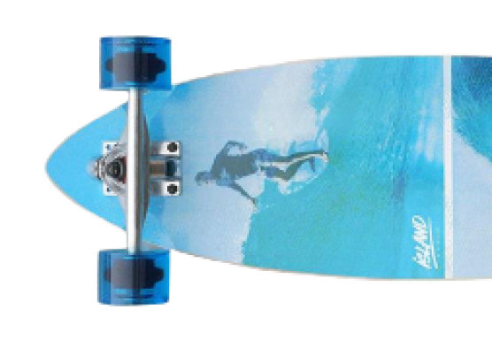 SKATEBOARDS