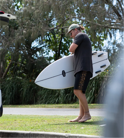 AQSS Day Dreamer Fish Surfboard