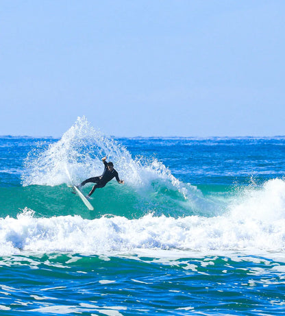 Favourite Dish Vintage Fish By Beau Young - Mint Surfboard
