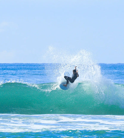 Favourite Dish Vintage Fish By Beau Young - Mint Surfboard